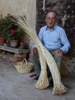 Cenni occupazionali sui vari settori economici